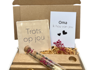 Brievenbuscadeautje - Trots op jou - Droogbloem- Keuze uit kleur tekst en tegel